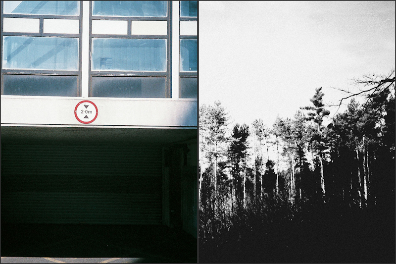 Diptych_7.jpg